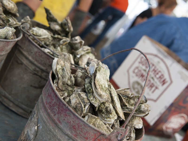 Feast at Fall Seafood and Oyster Festivals in NC